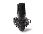 Marantz Professional MPM-2000U Studio Condenser Microphone