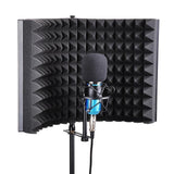 SEWS-Studio Microphone Isolation Shield