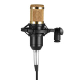 BM800 Condenser Microphone